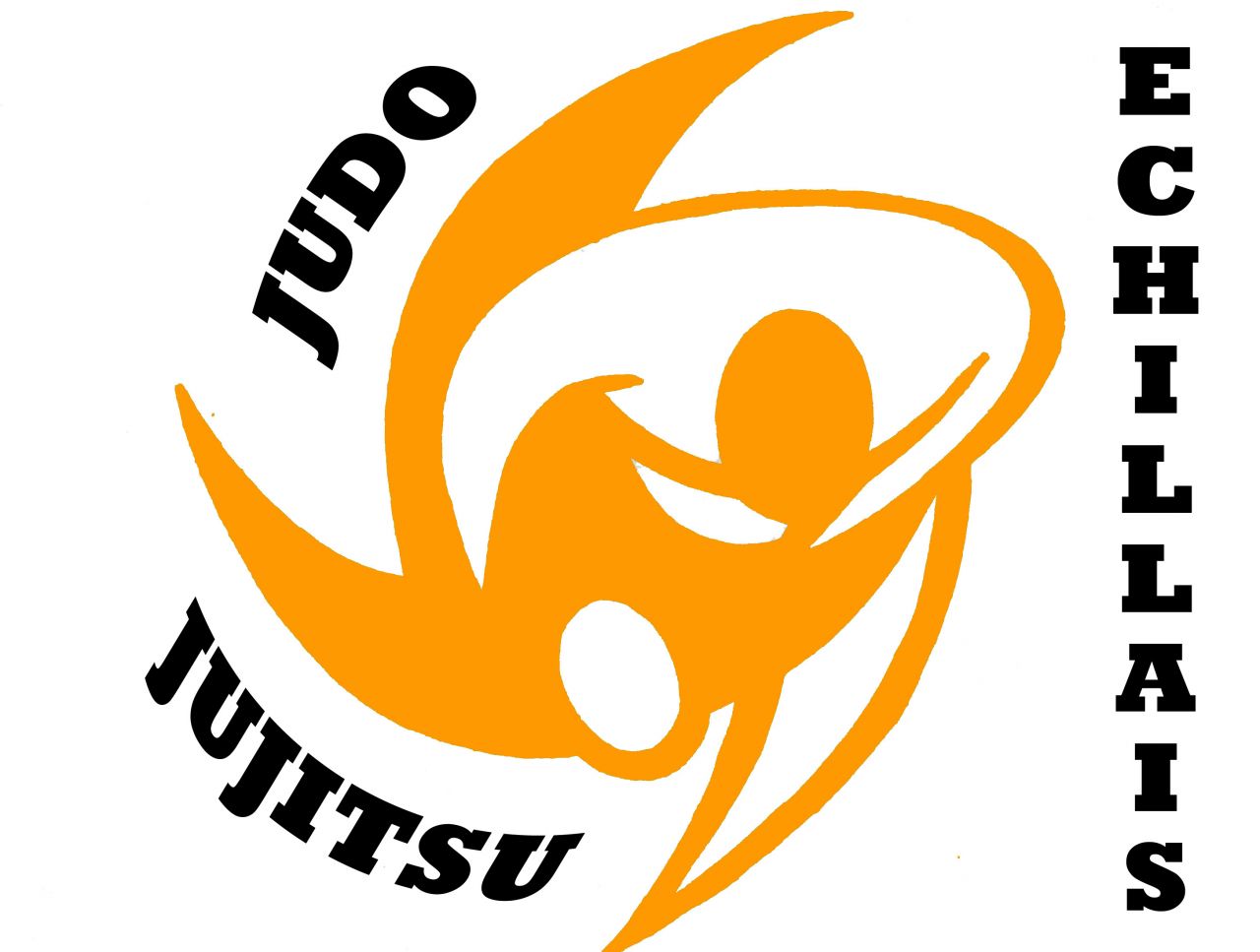 Logo E. JUDO JUJITSU ECHILLAIS 17